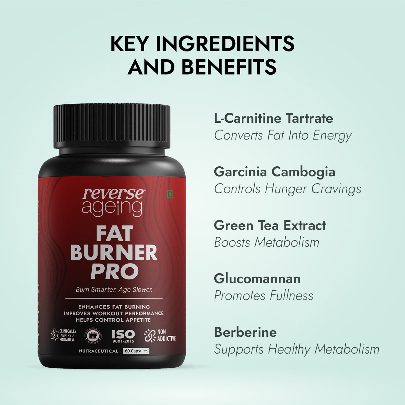 Fat Burner Pro